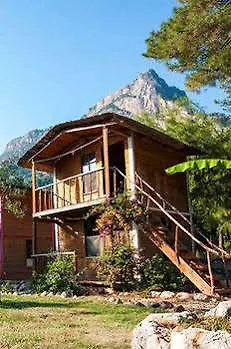 Chakra Kabak 3*