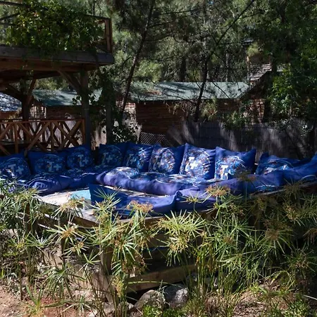 宾馆 卡巴克查卡拉海滩酒店 3*