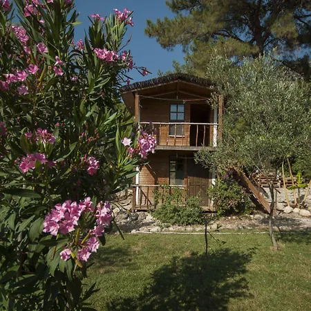 卡巴克查卡拉海滩酒店 法拉尔雅