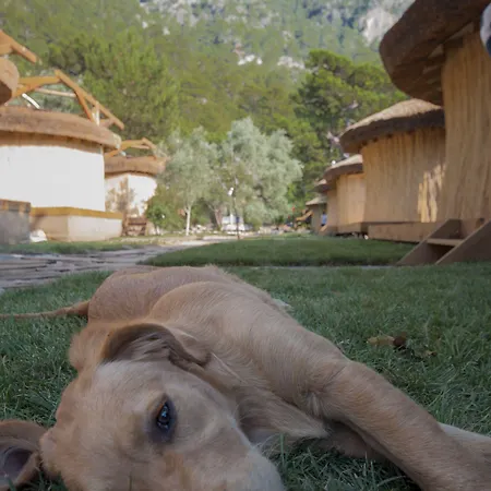 卡巴克查卡拉海滩酒店 法拉尔雅