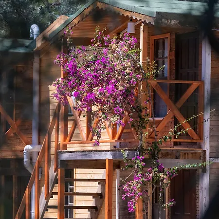 卡巴克查卡拉海滩酒店 宾馆