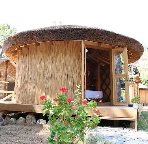 Chakra Kabak Penzion