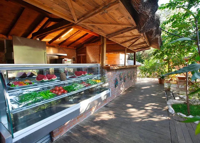 Chakra Kabak 3* Faralya