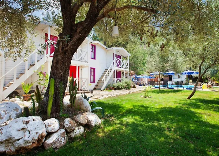 Chakra Kabak Penzion Faralya