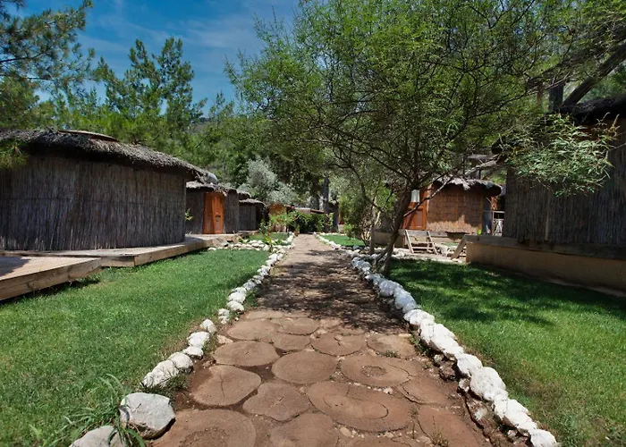 Chakra Kabak Faralya