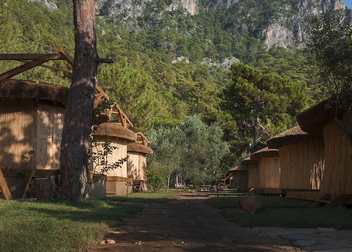 Chakra Kabak 3* Faralya