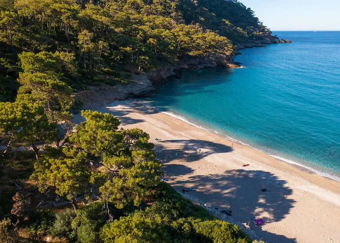 Chakra Kabak 3* Faralya