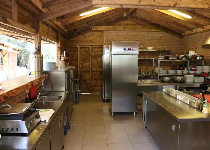 Chakra Kabak Faralya