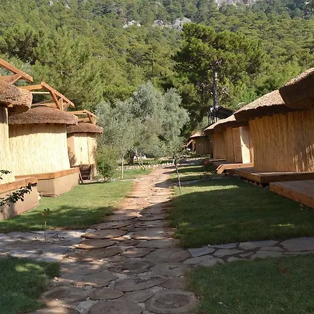 Chakra Kabak 3* Faralya