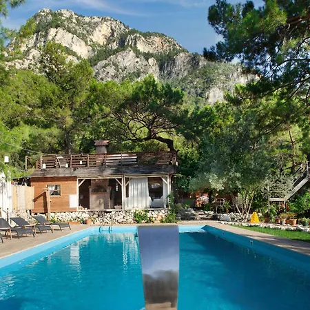 Mini-hôtel Chakra Kabak Faralya