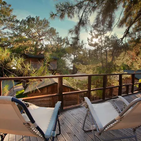 Han/Misafirhane Chakra Kabak 3*