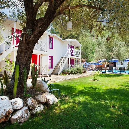 Chakra Kabak Mini-hôtel Faralya