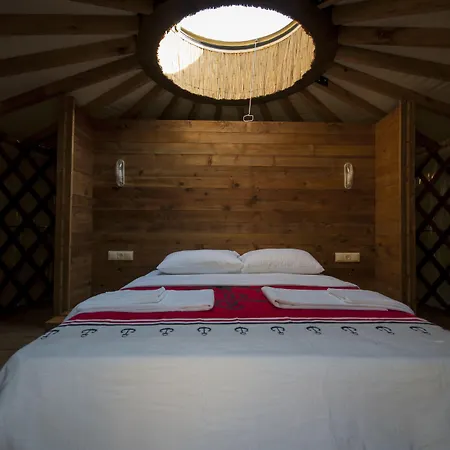 Inn Chakra Kabak Faralya