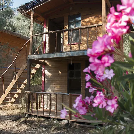 Mini-hôtel Chakra Kabak