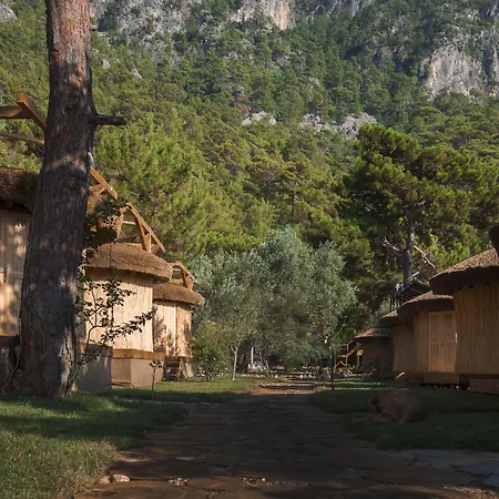 Chakra Kabak 3* Faralya