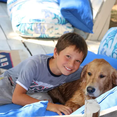 Han/Misafirhane Chakra Kabak Faralya