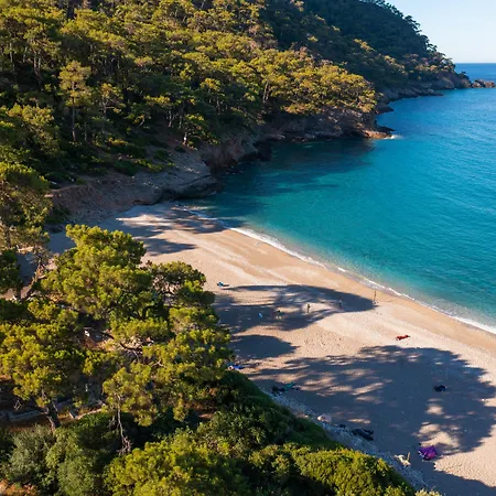 Chakra Kabak 3* Faralya