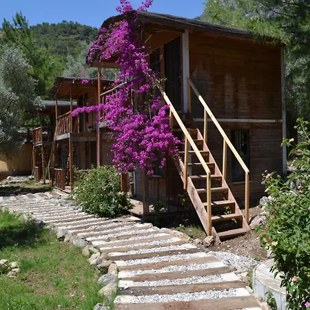 Chakra Kabak Herberg 3*