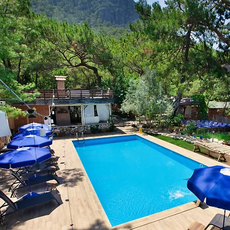 Mini-hôtel Chakra Kabak Faralya