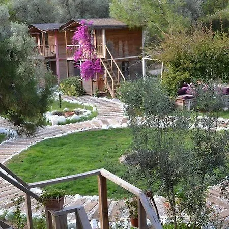 Chakra Kabak Mini-hôtel Faralya