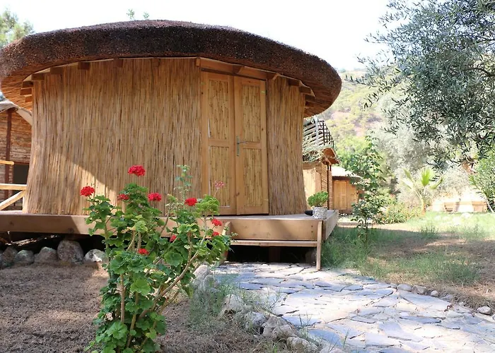 Chakra Kabak Faralya