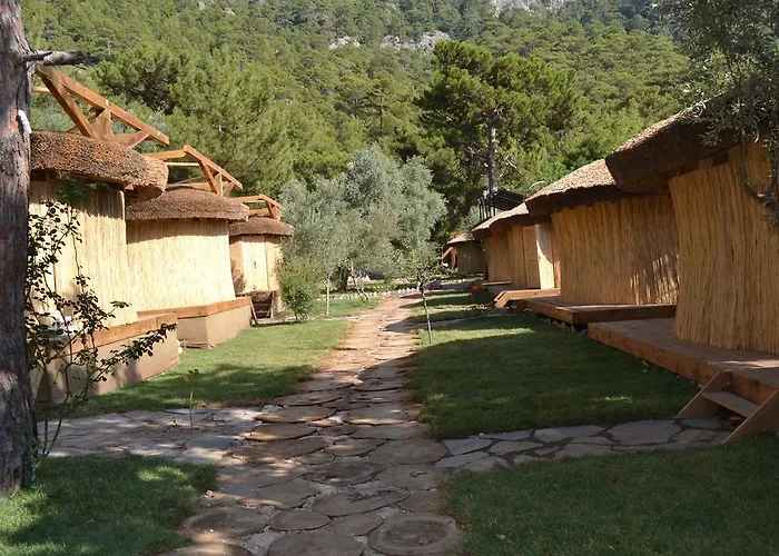 Chakra Kabak 3* Faralya