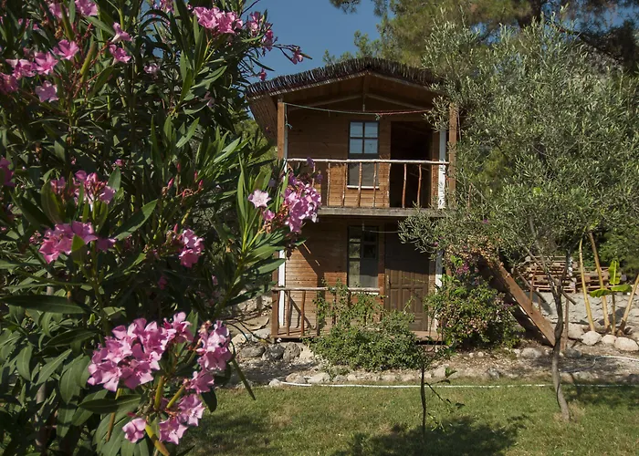 Chakra Kabak Faralya