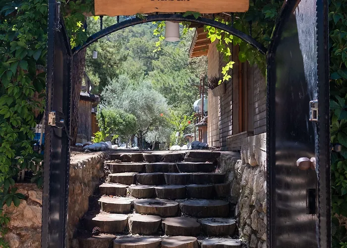 Penzion Chakra Kabak Faralya