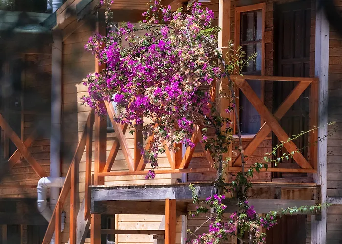 Chakra Kabak Penzion