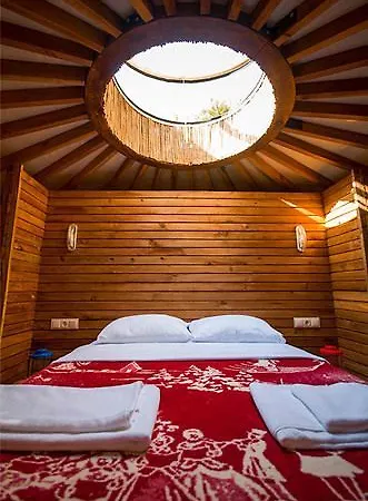 Chakra Kabak Фаралия