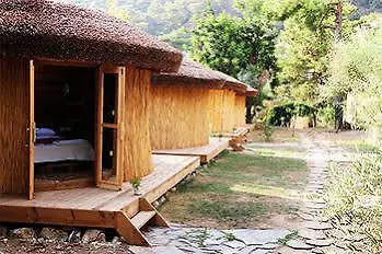 Chakra Kabak 3* Фаралия